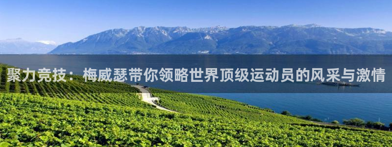 聚力竞技：梅威瑟带你领略世界顶级运动员的风采与激情