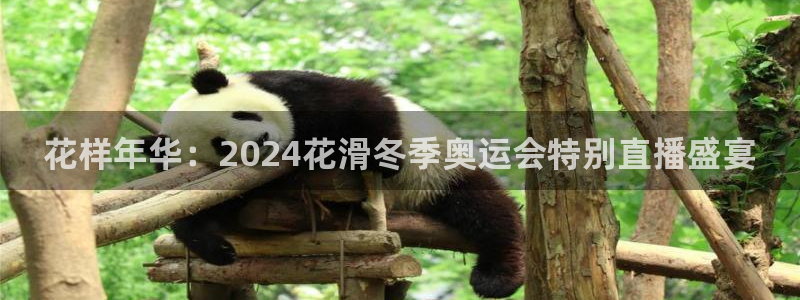 花样年华：2024花滑冬季奥运会特别直播盛宴