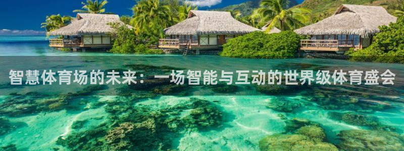 智慧体育场的未来：一场智能与互动的世界级体育盛会